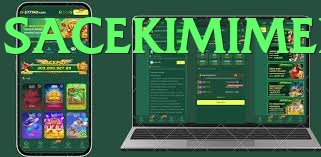 Y444 Game game app for Pakistan players